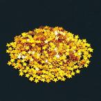 アーテック ホログラムグリッター1g 星 ゴールド