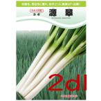 [ поступление последовательность отгрузка ]ka кошка вид рассада источник ..2dl