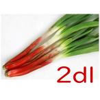 [ поступление последовательность отгрузка ]ka кошка вид рассада .....2dl