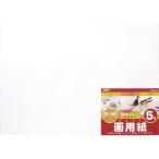 ナカバヤシ　画用紙　四ツ切　５枚束　SD-カ-102