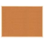 【法人様限定品 代引き不可 送料無料】ナカバヤシ　両面コルクボード　１２００×９００　WCB-E1290