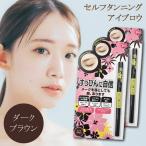 【お得な2本セット】 アイブロウST セルフタンニング アイブロウ ダークブラウン ビナ薬粧
