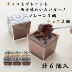ギフト プリン プレーン チョコ 6個セット お取り寄せ 高級 スイーツ 贈答品 誕生日プレゼント お祝い お返し