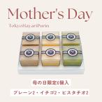高級プリン専門店の母の日限定セット プレーン ピスタチオ イチゴ各2 計6個入 お取り寄せ ギフト スイーツ 贈答品 東京
