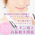  ион внедрение прекрасный лицо контейнер глаз изначальный . изначальный булавка отметка для лицо массаж уход за лицом с батарейкой японский язык инструкция имеется Revue сотрудничество . бесплатная доставка по всей стране 