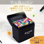マーカーペン イラストマーカー 服装設計 油性 80色 2種類のペン先 太字 細字 キャリングケース付き レビュー投稿で全国送料無料