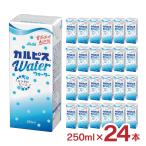  сок karupis вода (R) бумага упаковка 250ml 24шт.@karupis. кислота . уличный вне еда бесплатная доставка 