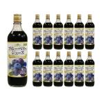 ショッピングブルーベリー 野田ハニー ブルーベリー100％ジュース 720ml 12本 送料無料 取り寄せ品