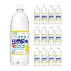 炭酸水 強炭酸水 グレープフルーツ 送料無料 伊賀の天然水 ペット 1000ml 12本 サンガリア