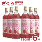 アウトレット 野田ハニー ざくろジュース100％ 720ml 6本 瓶 無添加 柘榴 ザクロ 送料無料 訳あり