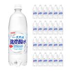 伊賀の天然水 強炭酸水 ペット 1000ml 24本 サンガリア 送料無料