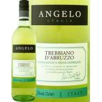 白ワイン イタリア モンド・デル・ヴィーノ・アンジェロ・トレッビアーノ・ダブルッツォ 2013 イタリア  750ml ライトボディ 辛口 wine