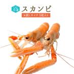 CAS冷凍　スカンピ（ラングスティーヌ）＜スコットランド産＞【1P＝5尾入り　約400g】【冷凍品/冷蔵・常温商品との同梱不可】