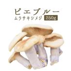 pie голубой ( фиолетовый simeji)< Франция производство >[250g][ рефрижератор товар ]