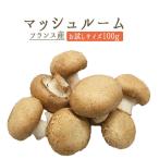 * Brown гриб гриб Франция производство .. . свежий < Франция производство >[ пробный размер 100g][ рефрижератор товар ]