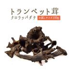  труба чёрный труба .(.. .) свежий < Франция производство >[ пробный размер 100g][ рефрижератор товар ]