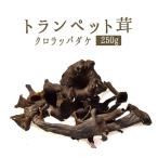  труба чёрный труба .(.. .) свежий < Франция производство >[250g][ рефрижератор товар ]