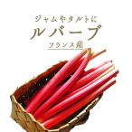 ルバーブ　rhubarb　西洋野菜　ジャムやタルトに＜フランス＞　【300g】