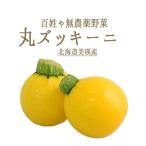 無農薬　丸ズッキーニ　（黄色）　百姓や　青木さんの厳選野菜　＜北海道　美瑛産＞　【1個＝約150g】【￥213/100g再計算】【冷蔵品】