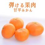 ショッピング甘平 甘平　かんぺい　みかん＜愛媛県産＞　お試し【1kg】常温品（冷蔵での同梱可能）