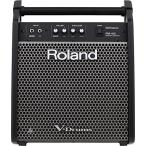 Roland Roland personal монитор PM-100 контрольный динамик максимальная мощность 80W compact V-Drums