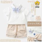  формальный костюм костюм комплект рубашка бабочка галстук имеется модный ребенок baby костюм симпатичный мужчина мужчина . Kids комплект входить . тип Kids .. тип церемония окончания 