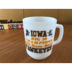 ファイヤーキング fire-king IOWA HAWKEYES 9オンスマグ
