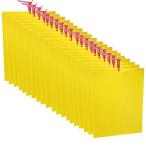 20枚 25*20cm 捕り粘着シート 捕虫シート 害虫対策用品 強力 両面粘着紙 防水 安全無毒 簡単取付 粘着トラップ コナジラミ/アザミウマ/ア