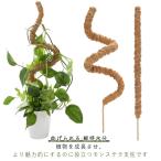 растения фигурная скобка модный hego палка декоративное растение монстера палочка здесь палочка садоводство для садоводство растения поддержка техническое обслуживание вода минут . минут техническое обслуживание растения главный . искривление ..