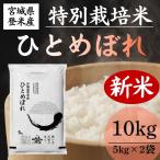 �V�� �ߘa8�N�Y ���ʍ͔|�� �ЂƂ߂ڂ� ���� 10kg �o�ĎY �_��E���w�엿�ߌ��͔|�� �{�錧�Y ���� ���_���