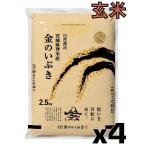 令和7年産 金のいぶき10kg (2.5kg×4)玄米  宮城 登米 特別栽培米 農薬・化学肥料不使用 食事を完成させるお米 安い 米 お米