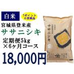 定期便6ヶ月コース：ササニシキ白米5kg 宮城県登米産