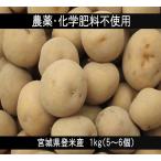 じゃがいも 1kg 5〜6個