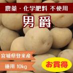 [ добродетель для ] картофель ( мужчина .) 10kg