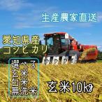 令和5年産　コシヒカリ　10kg　愛知県産　選べる　玄米　白米　無洗米　生産農家直送