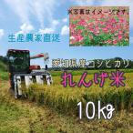 ショッピング無洗米 令和5年産　れんげ米　コシヒカリ　愛知県産　選べる　玄米　白米　無洗米　生産農家直送