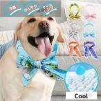 クールリング 犬 冷感 バンダナ お散歩 ネック クール 首もと冷却 夏用品 冷感 ひんやり 熱中症対策グッズ 冷感 ネッククーラー