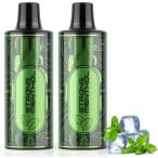 電子タバコ 使い捨て VAPE ダブルミント 2点入り I3互換POD リキッド充填済み 爆煙 ベイプ タールなし ニコチンなし 減煙 禁煙補助 液漏れ防止 I3型POD ARASHI