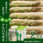 . хорошо . прекрасный . производство утро .. зеленый & белый спаржа . земля культивирование 2kg M~2L размер 5 месяц после половина .. отправка начало aspala Hokkaido овощи гурман ваш заказ 