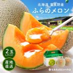 お中元 富良野メロン 2玉 約3.2kg Lサイズ(1玉約1.6kg×2) 送料無料 お取り寄せグルメ 果物 フルーツ お中元 御中元 とみたメロンハウス