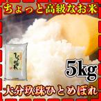 精白米 新米 30年産 九州 大分県 玖珠産 ひとめぼれ 5kg 棚田米 ヒトメボレ 高級米