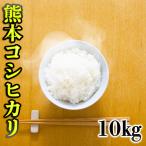 精白米 30年産 九州 熊本県産 コシヒカリ 10kg 白米 (5kg×2個) こしひかり くまもとのお米