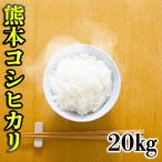 精白米 30年産 九州 熊本県産 コシヒカリ 20kg 白米 (5kg×4個) こしひかり くまもとのお米