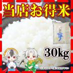 あすつく 精白米 当店お得米 一粒の夢 30kg 規格外米 返品交換不可 10kg×3個 ノークレームノーリターン 九州 熊本 くまもとのお米 訳あり