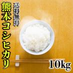 ショッピング米 10kg 送料無料 お米 米 10kg 白米 送料無料 熊本県産 こしひかり あすつく 令和5年産 コシヒカリ 5kg2個 くまもとのお米 富田商店 とみた商店