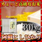 お米 米 30kg 白米 熊本 