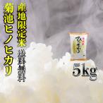 お米 米 5kg 白米 送料無料 最短 熊本県 菊池産 ひのひかり 令和6年産 ヒノヒカリ 5kg1個 産地限定米 くまもとのお米 富田商店 とみた商店