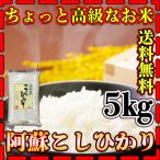 ふっくら柔らかくてにんまり阿蘇の高級米　お米 米 5kg 白米 送料無料 最短 熊本県 阿蘇産 こしひかり 令和6年産 コシヒカリ 5kg1個 くまもとのお米 富田商店 とみた商店