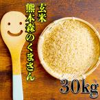 お米米30kg玄米送料別最短熊本県...