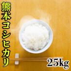 あすつく 新米 精白米 令和元年産 1年産 2019年産 九州 熊本県産 コシヒカリ 25kg 白米 (5kg5個) こしひかり くまもとのお米